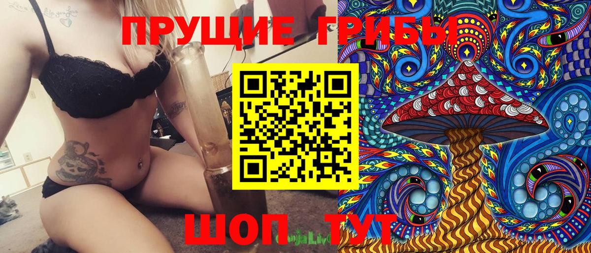 Галлюциногенные грибы MAGIC MUSHROOMS  закладка  Петропавловск-Камчатский  Вход с VPN 